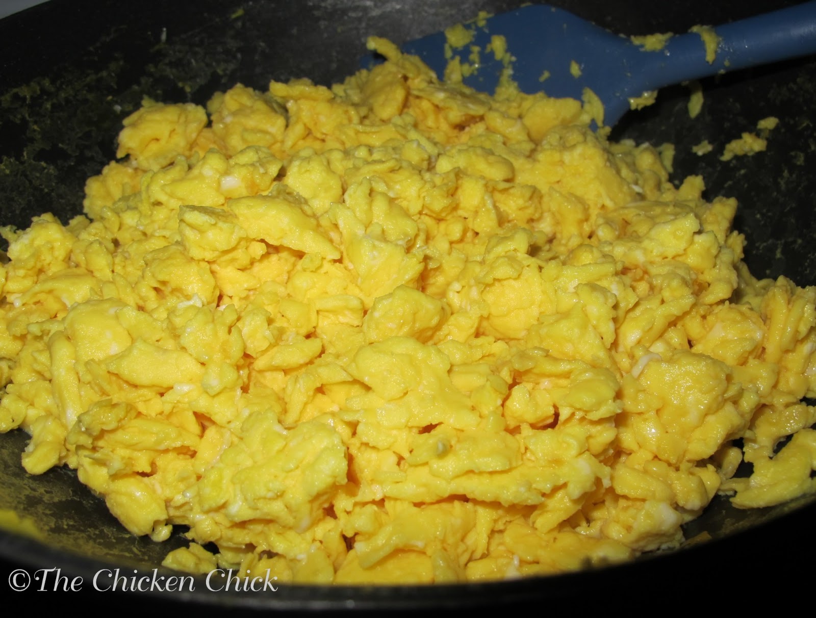 Frozen Scrambled EggPops for Chickens The Chicken Chick®