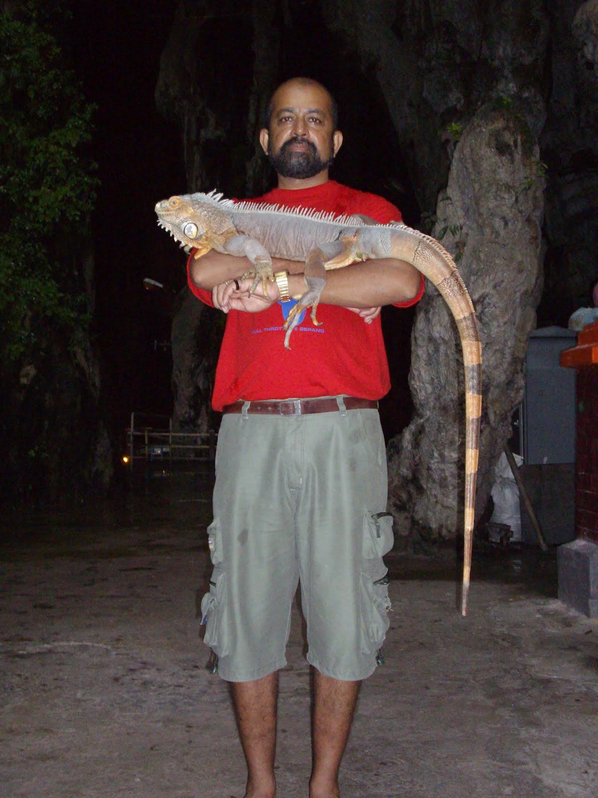 iguana batu