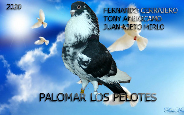 Palomar Los Pelotes