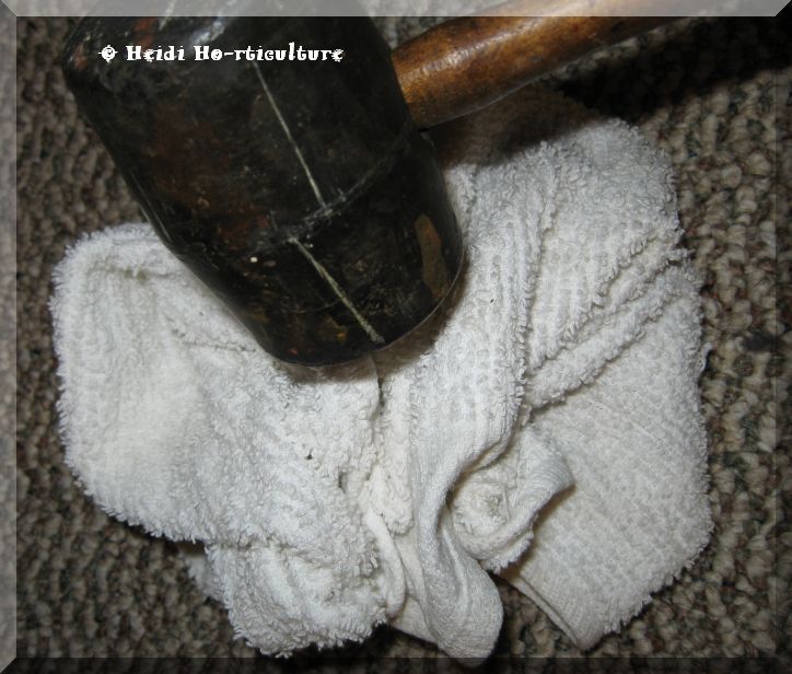 Heidi Horticulture Don't Throw Out Broken Clay Pots! Part 1