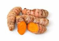 Tanaman Toga Tumbuhan Kunyit Toga