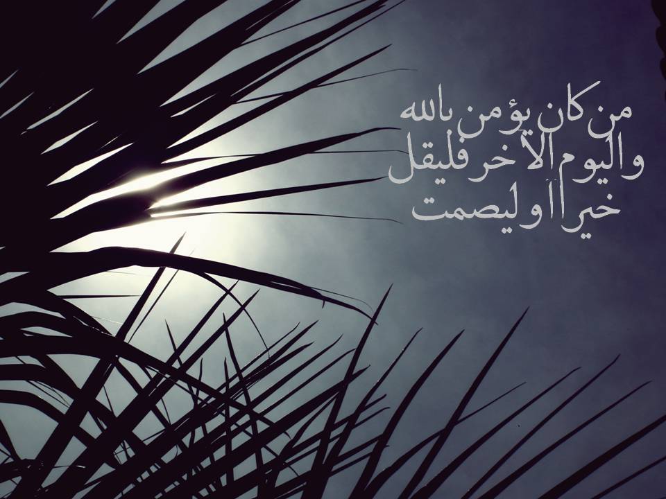 سلة رمان يجب أن يكون شعار حياتنا