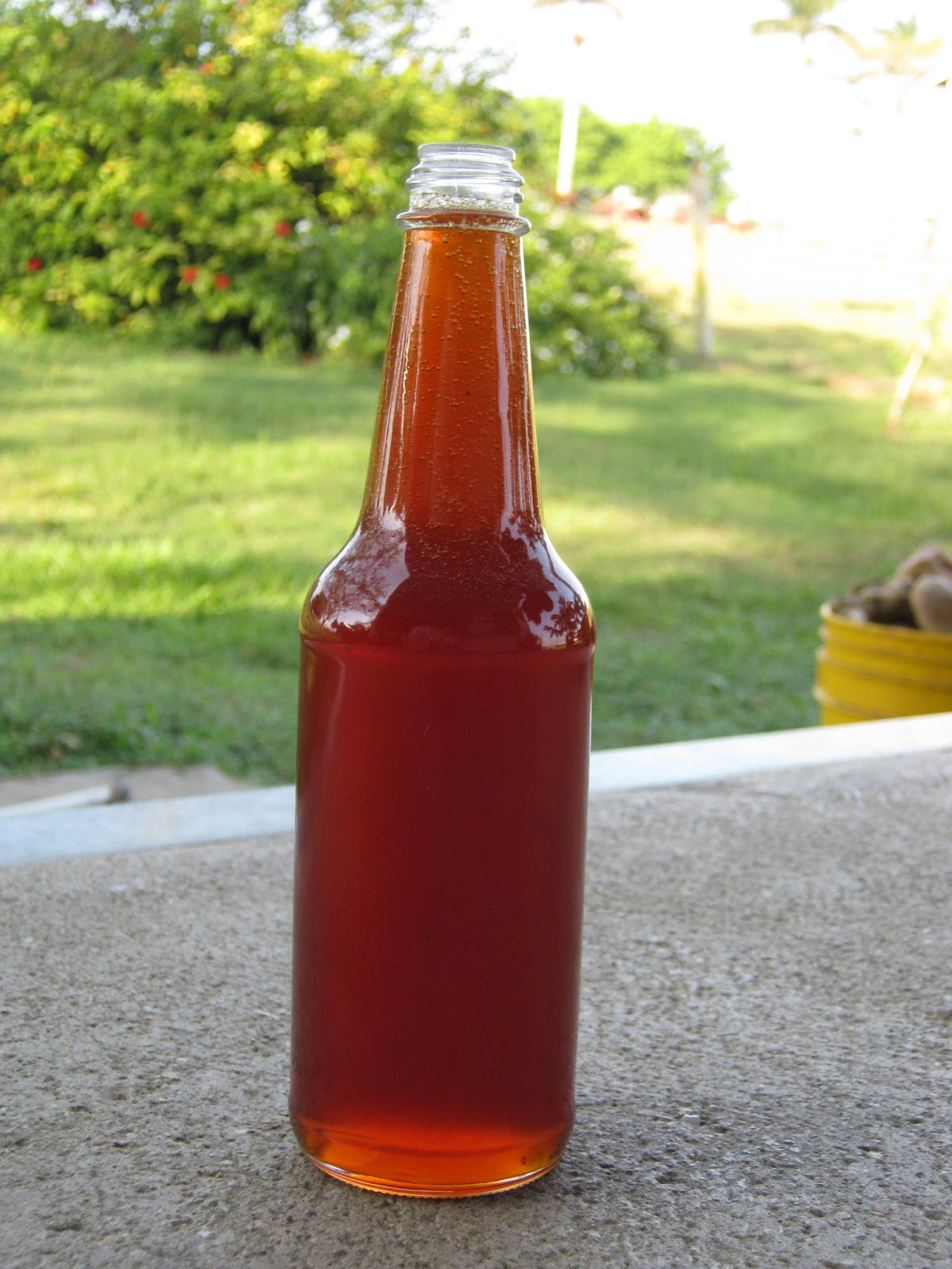 Pioneer Home Making sugar cane syrup, the oldfashioned way