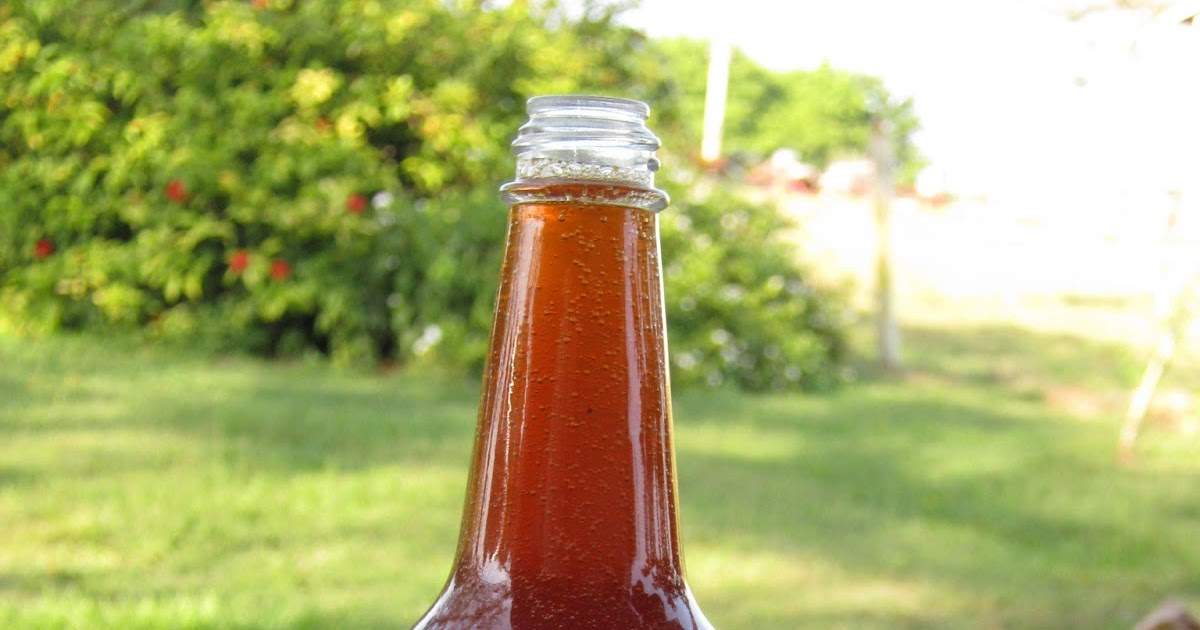 Pioneer Home Making sugar cane syrup, the oldfashioned way