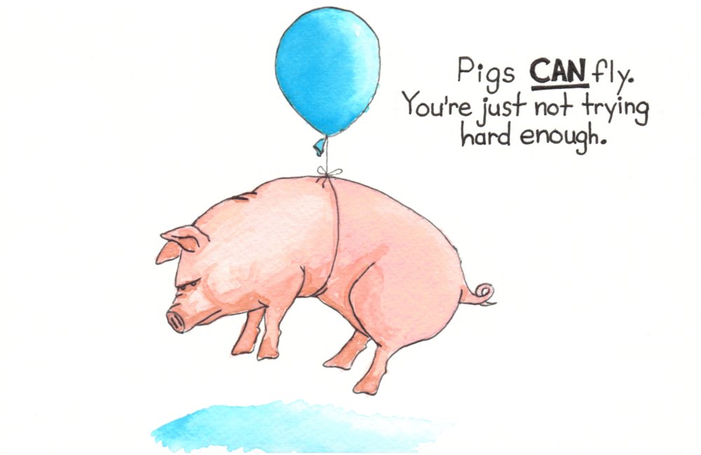 pigs-can-fly.jpg