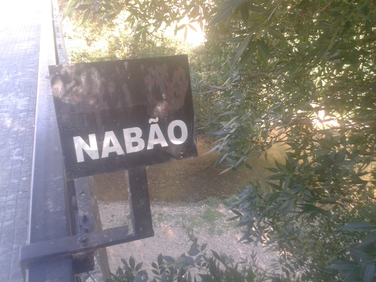 Placa Rio Nabão