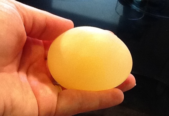 Daily Messes: Egg Experiment (The Shell-less Egg!)