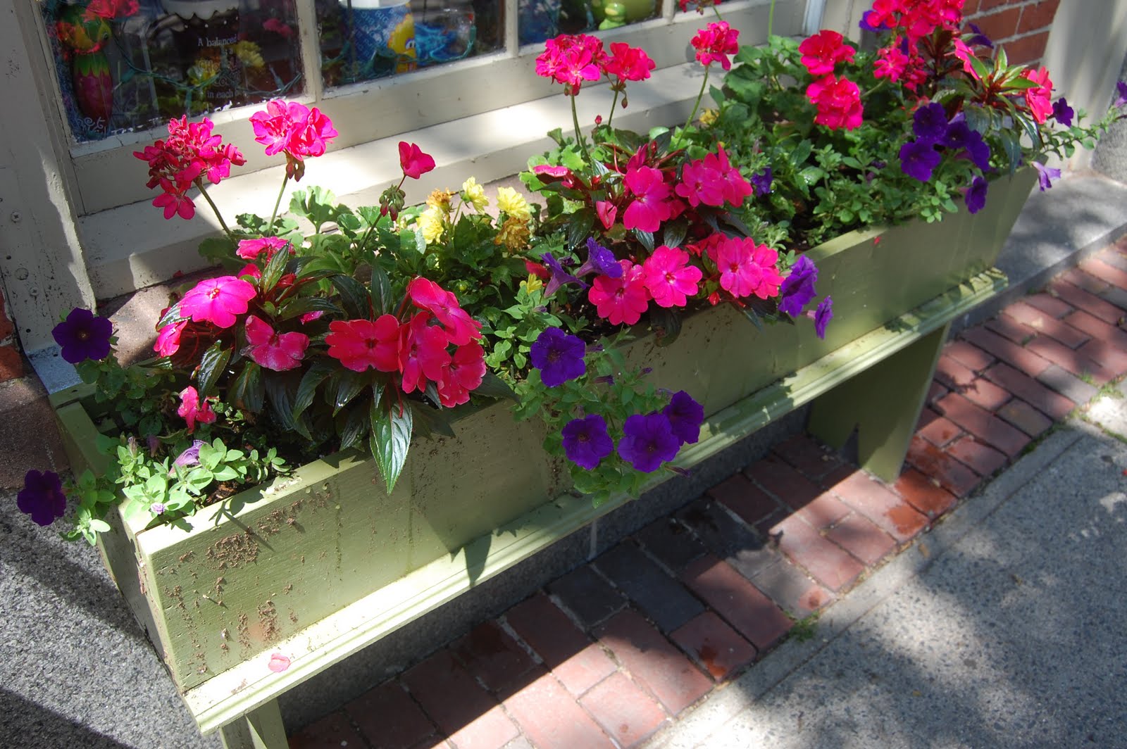 Sprouts Flowers Around Town Salem in the Summer
