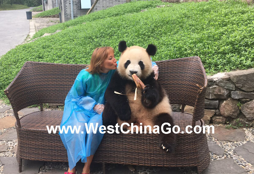 chengdu panda tour package