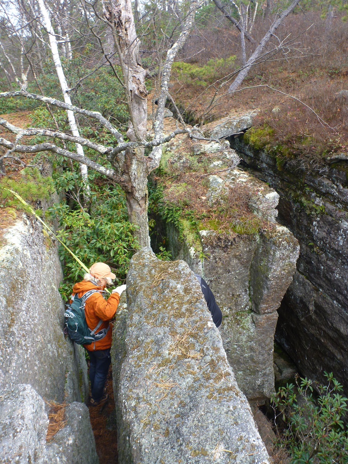 Catskill Chris Shingle Gully at Sam's Point Preserve