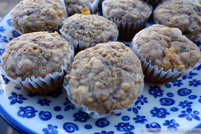 Cranberry Apple Pecan Tangerine Mini Muffins | Farm Fresh Feasts