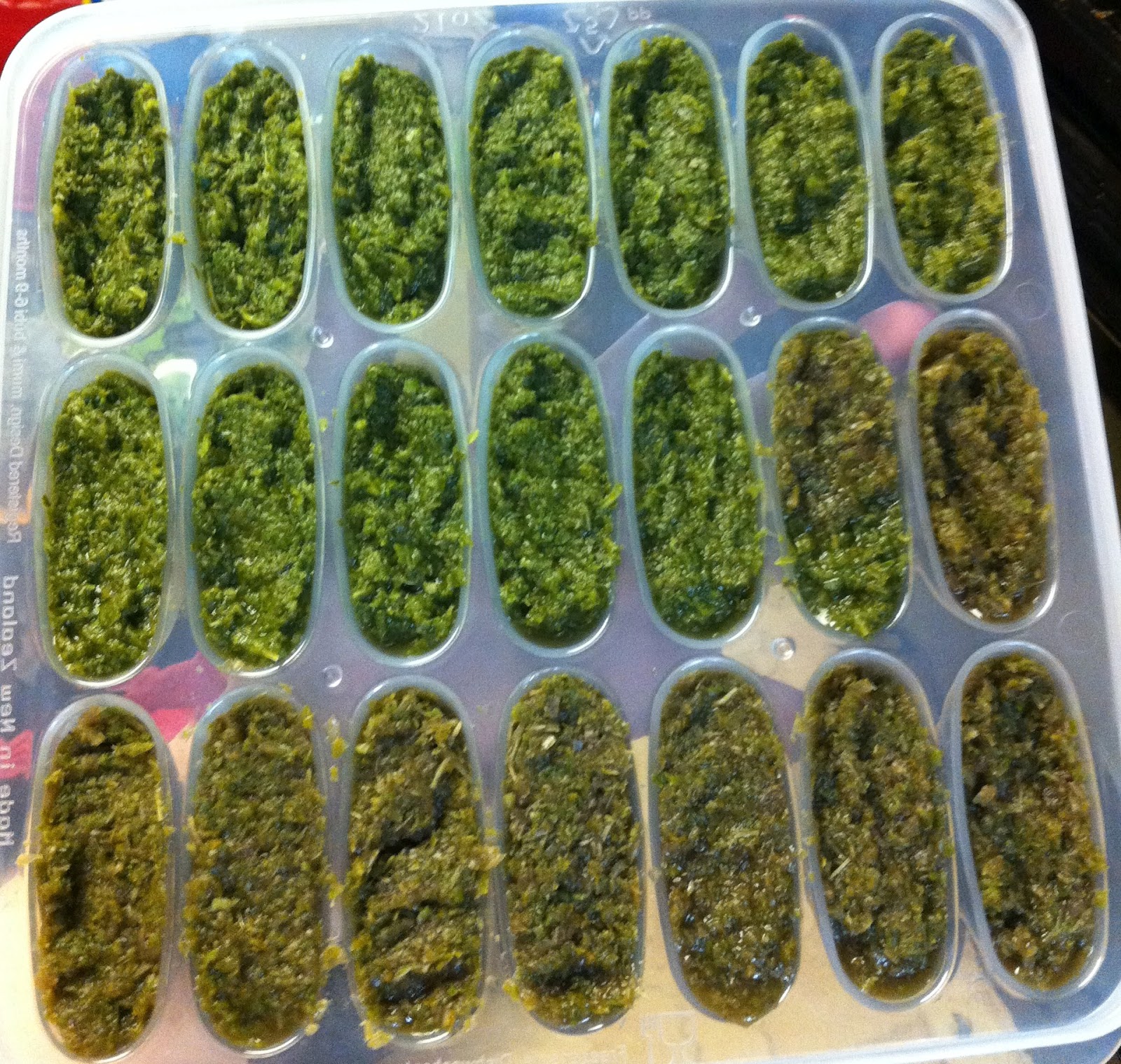 Biting The Hand That Feeds You Baby Kale Mash CSA Kale Baby Food Puree