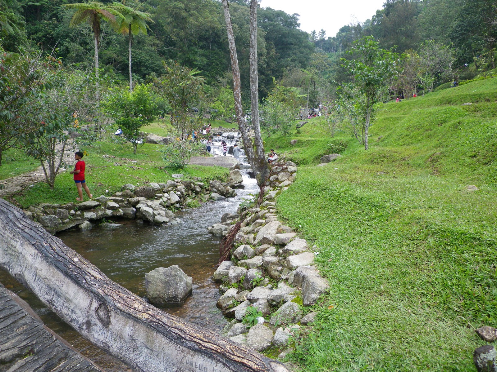 Taman Wisata Cibodas Jawa Barat