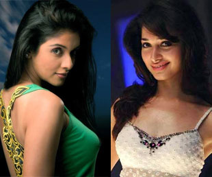 Image Result For Cracker Asin Image Result For Cracker Asin