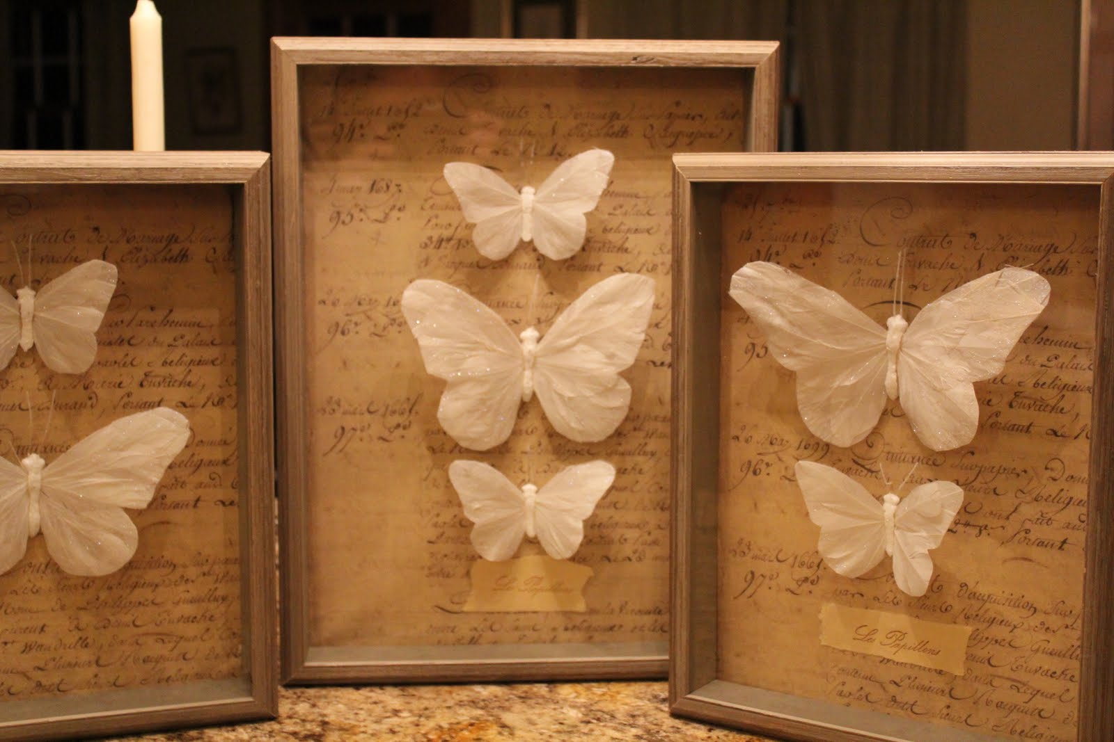 French Hen Farm butterfly boxes