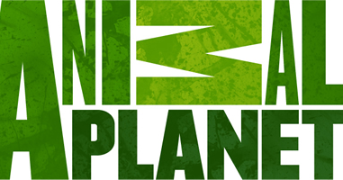 The Logo-Mat Blog: Wait a second...