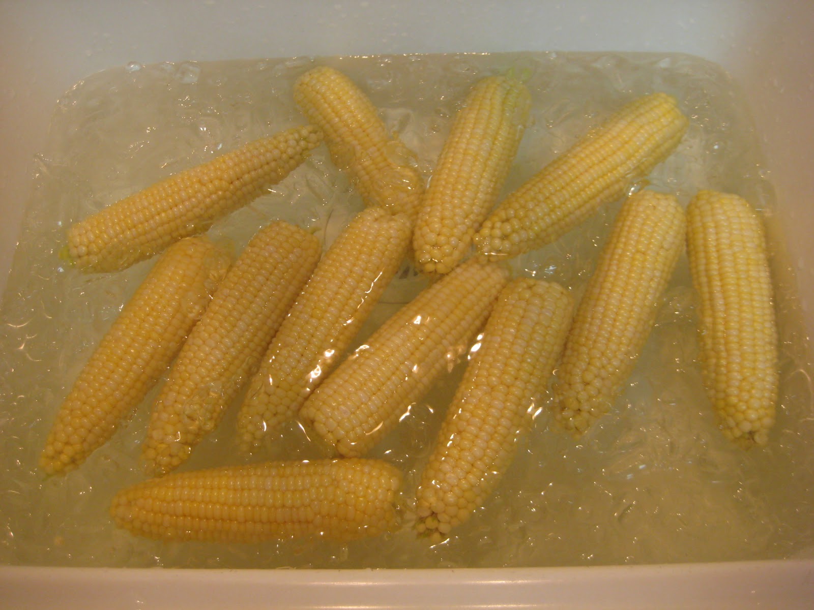 The Foulk Fam Freezing Corn.....Step By Step Tutorial
