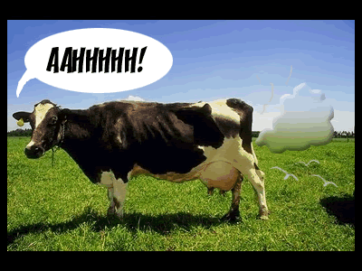 a cow farting