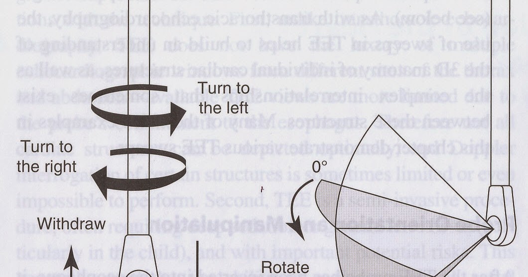 Pedi cardiology TEE Probe position terminology