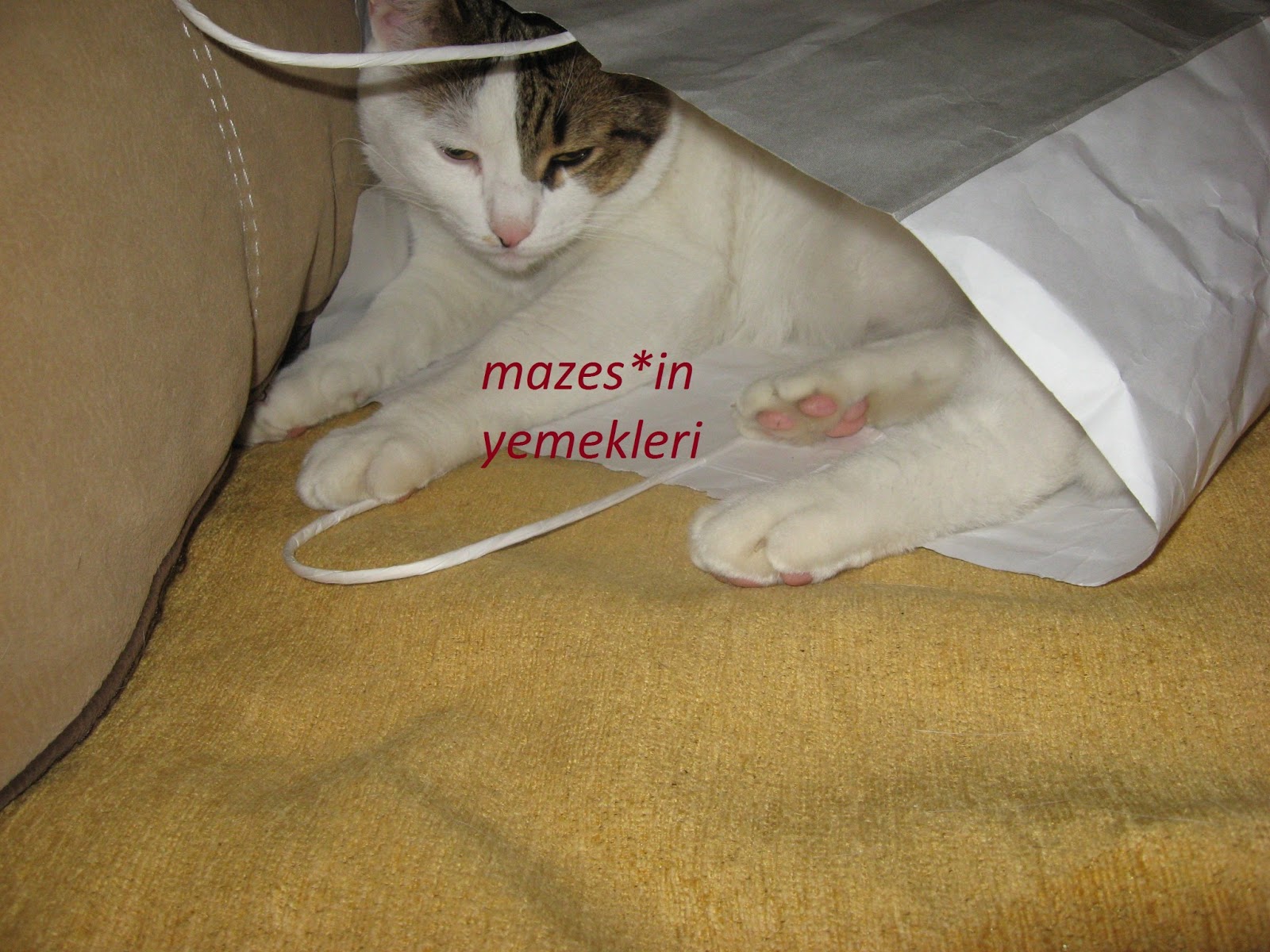 MAZES�İN YEMEKLERİ BU GÜNLERDE YENİ YATAK AŞKI