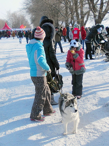 Фестиваль ездового спорта в Тольятти «Волга Квест»