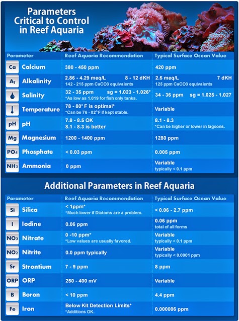 Coral Care Chart