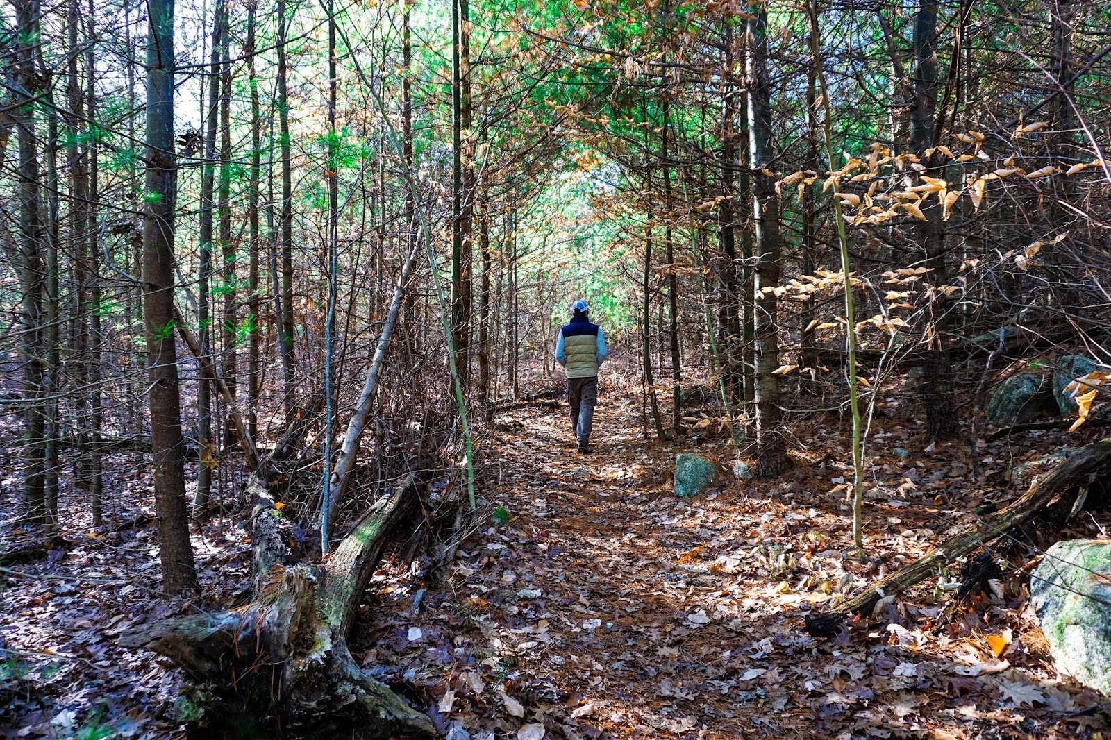 Weir River Farm and Turkey Hill Hingham, MA