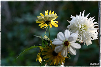 Dahlien und Sonnenhüte