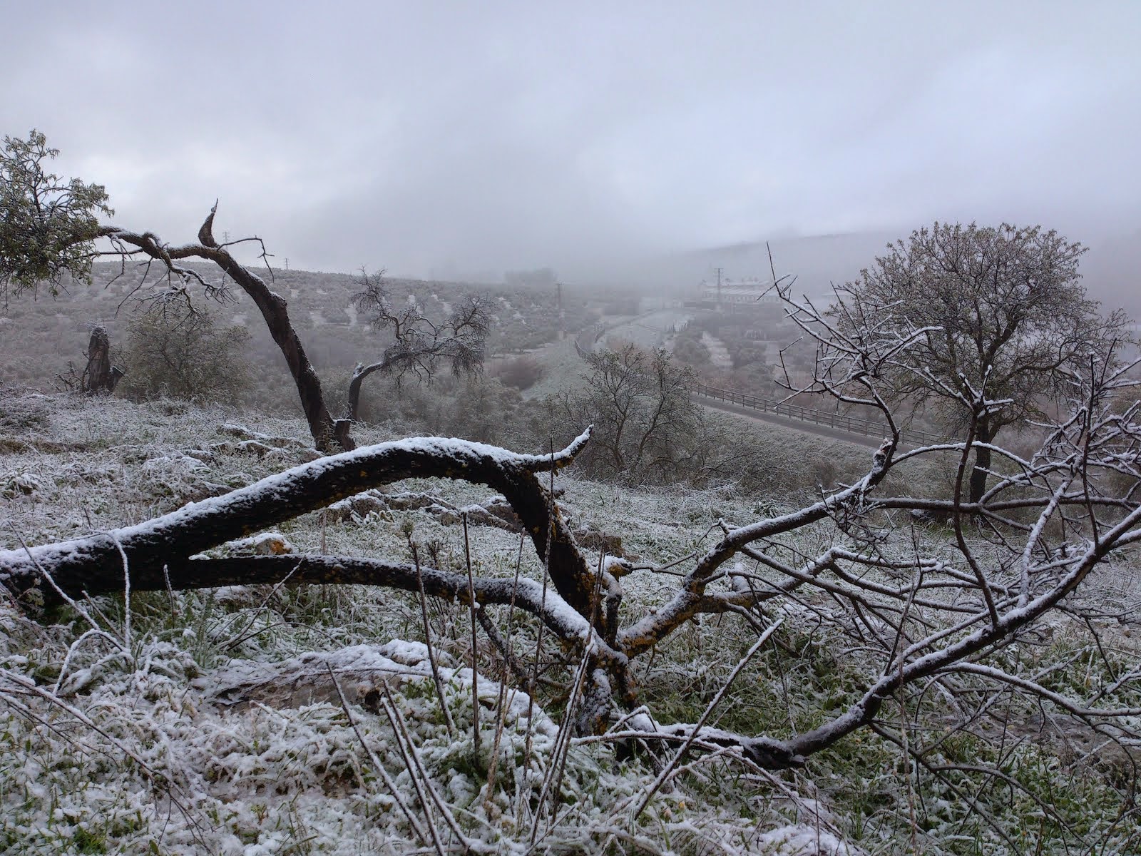 El invierno