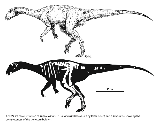 Thescel_Composi.jpg