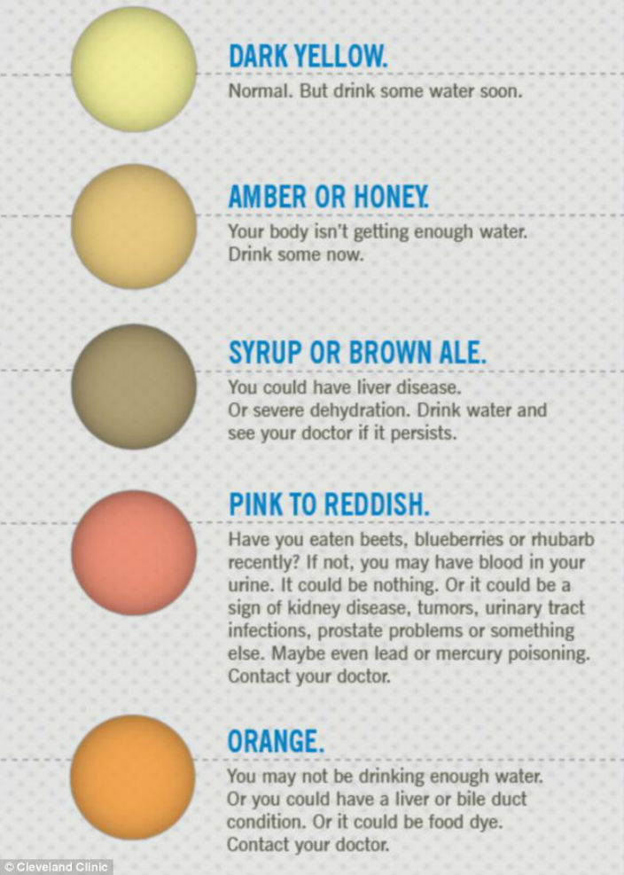 7 Urine Colors That Reveal Important Things About Your Health EndoRiot