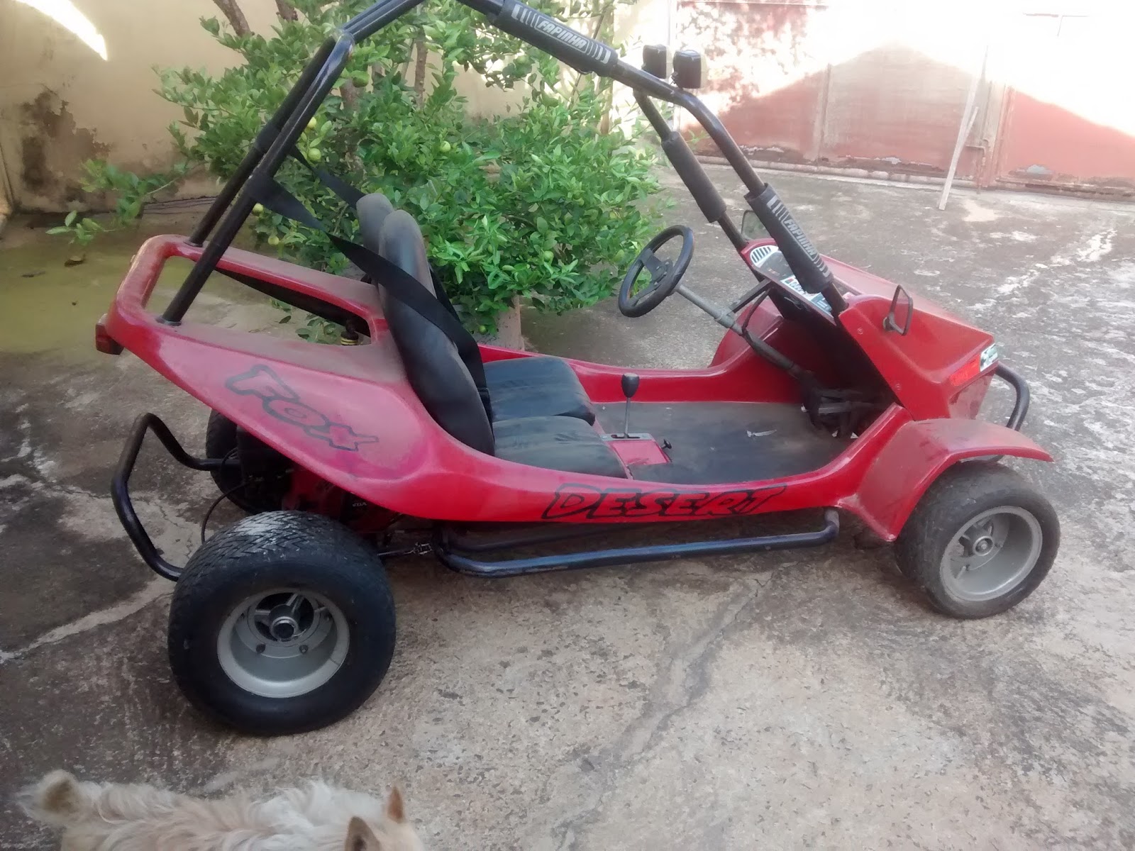 Asfalto Marcado MINI BUGGY FAPINHA SUPER XINGU VERMELHO CAMPINAS