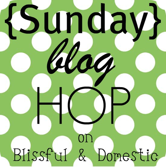 Make, Do and Mend How I organize frozen food