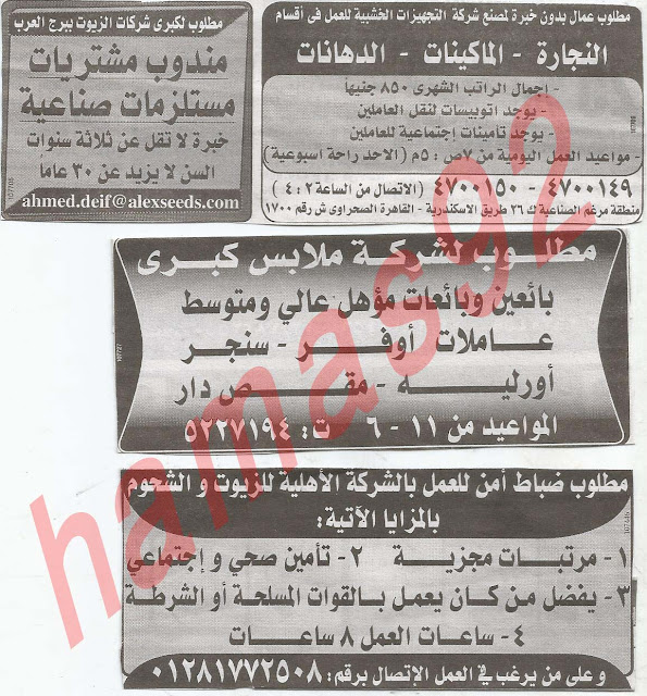 وظائف جريدة الوسيط الاسكندرية الاثنين 11/2/2013 %D9%88+%D8%B3+%D8%B3+4