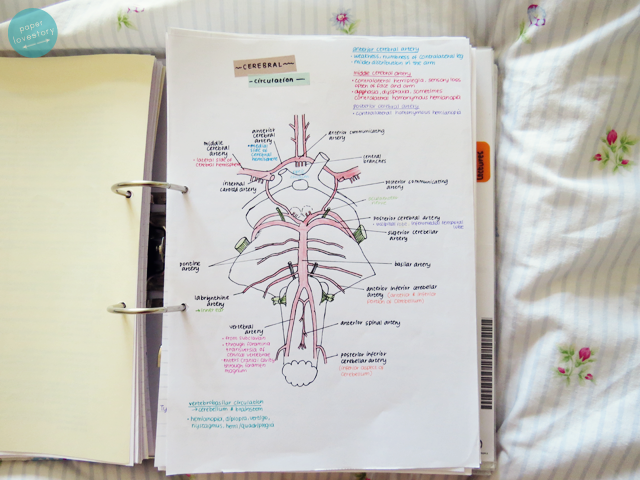 Paper Lovestory { a lifestyle blog from a university student about  stationery and organisation }: how I re-wrote my lecture notes in year one,  term three