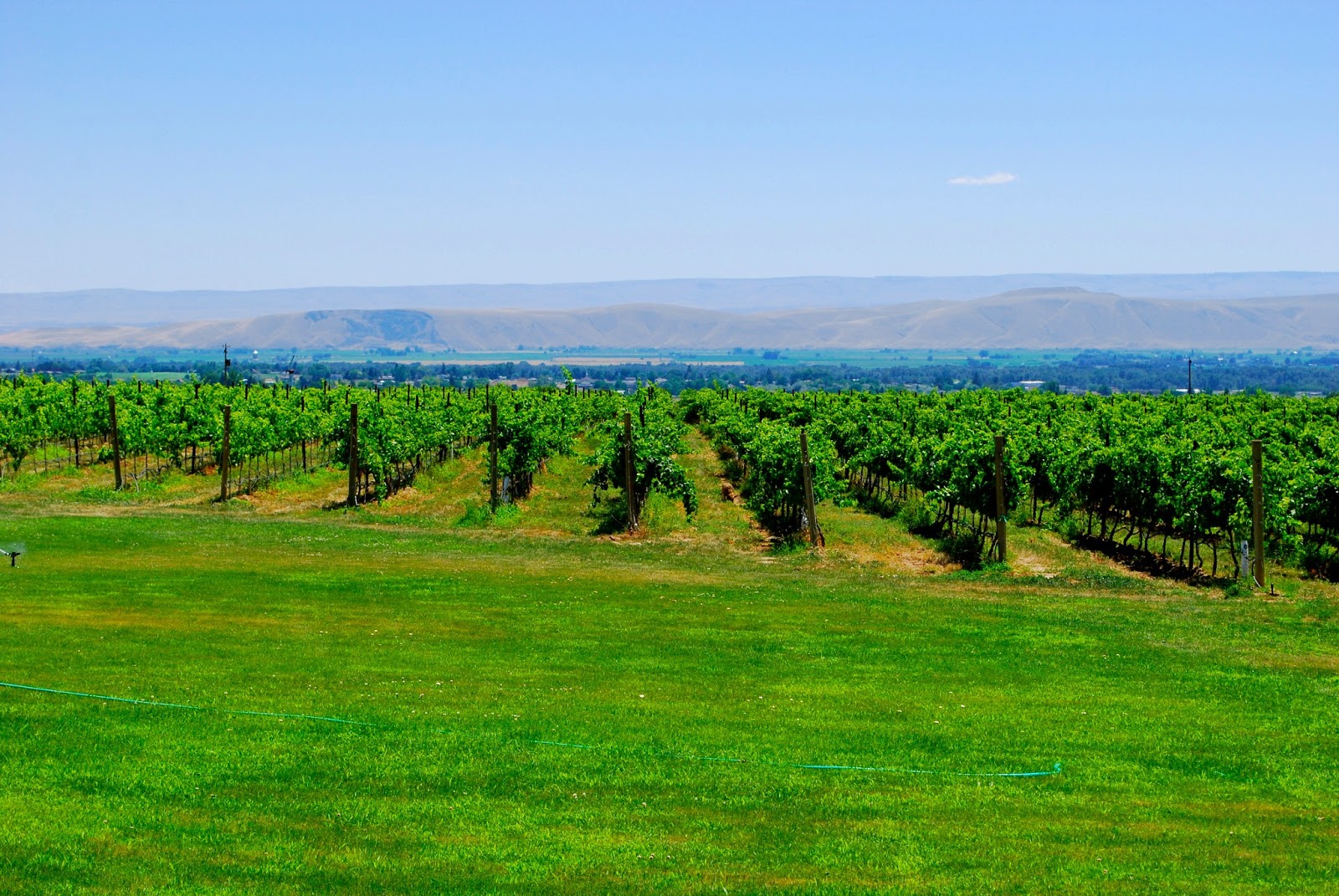 Wanderlust Traveler Yakima Valley, Washington (Wineries)
