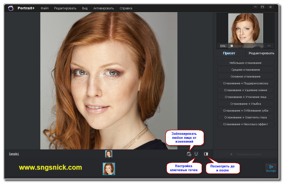 искажение лица скачать программу