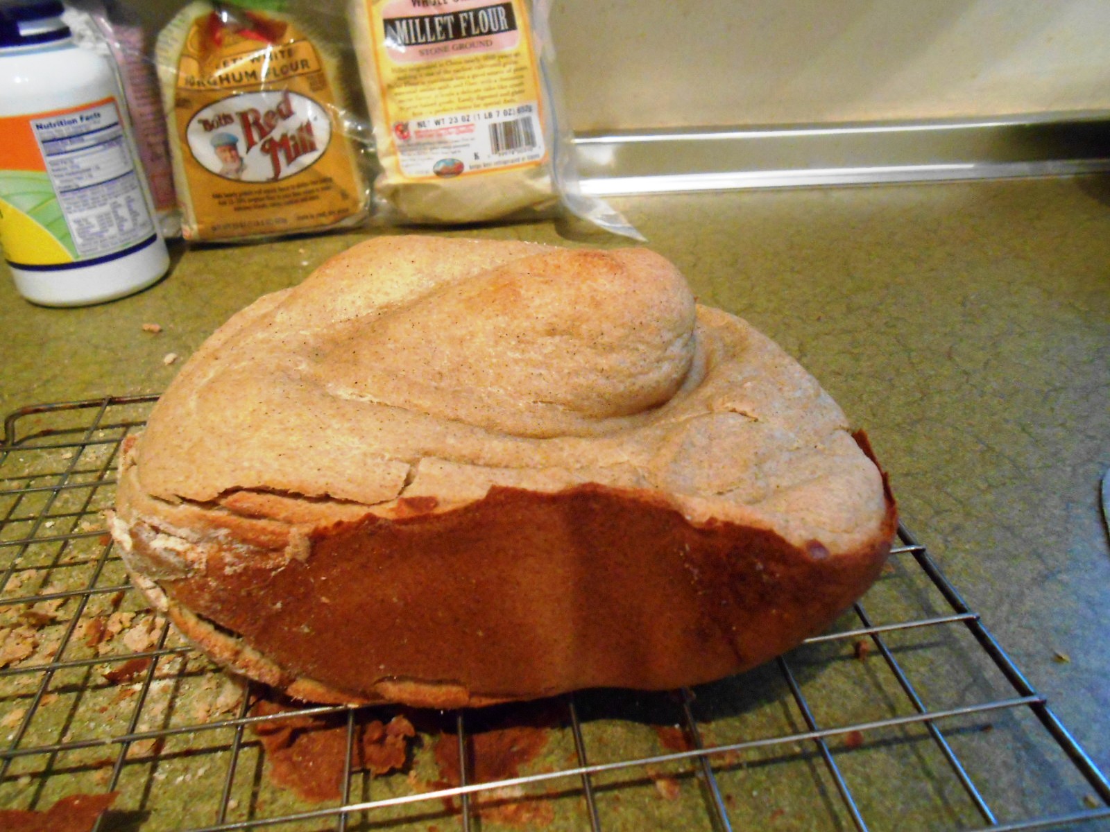 Aventura En Andorra Food Snow And A Kitty Cat