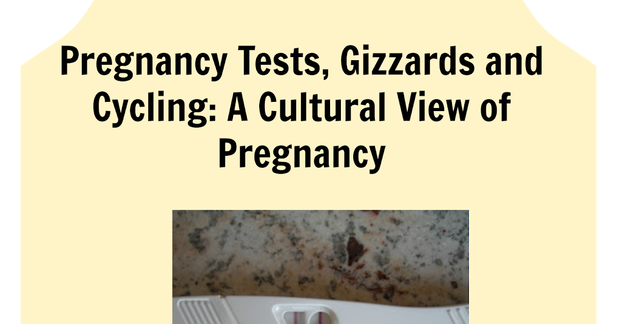 Turning Dutch Pregnancy Tests, Gizzards and Cycling A Cultural View of Pregnancy