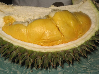 How to Choose a Good Durian? Once Blogger is Always Blogger