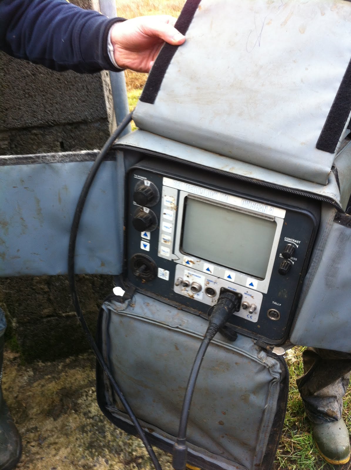 Animal Care PLC Animal Welfare Sheep Scanning 2013