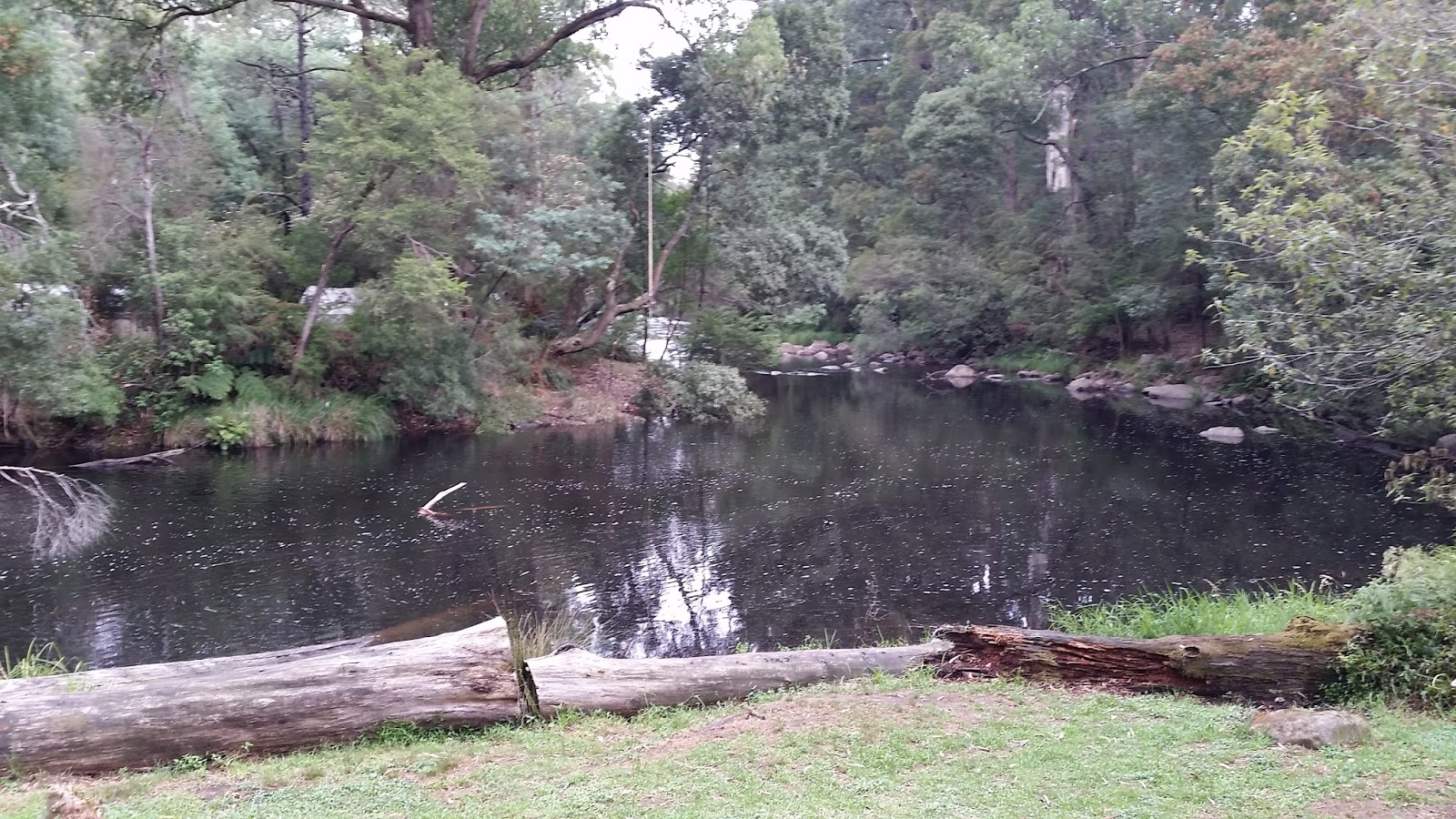 Trips Around the Sun Freshwater Swimming in the Yarra River near Melbourne