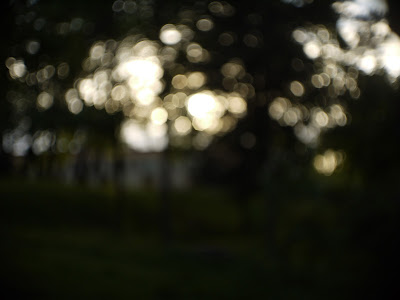 Cosmicar Television Lens 25/1.4 - bokeh @2.0 Cosmicar Television Lens 25/1.4 - bokeh @2.0