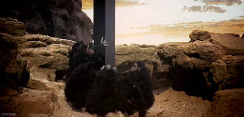 2001-monolith-monkeys.gif