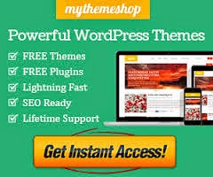 mythemeshop.com