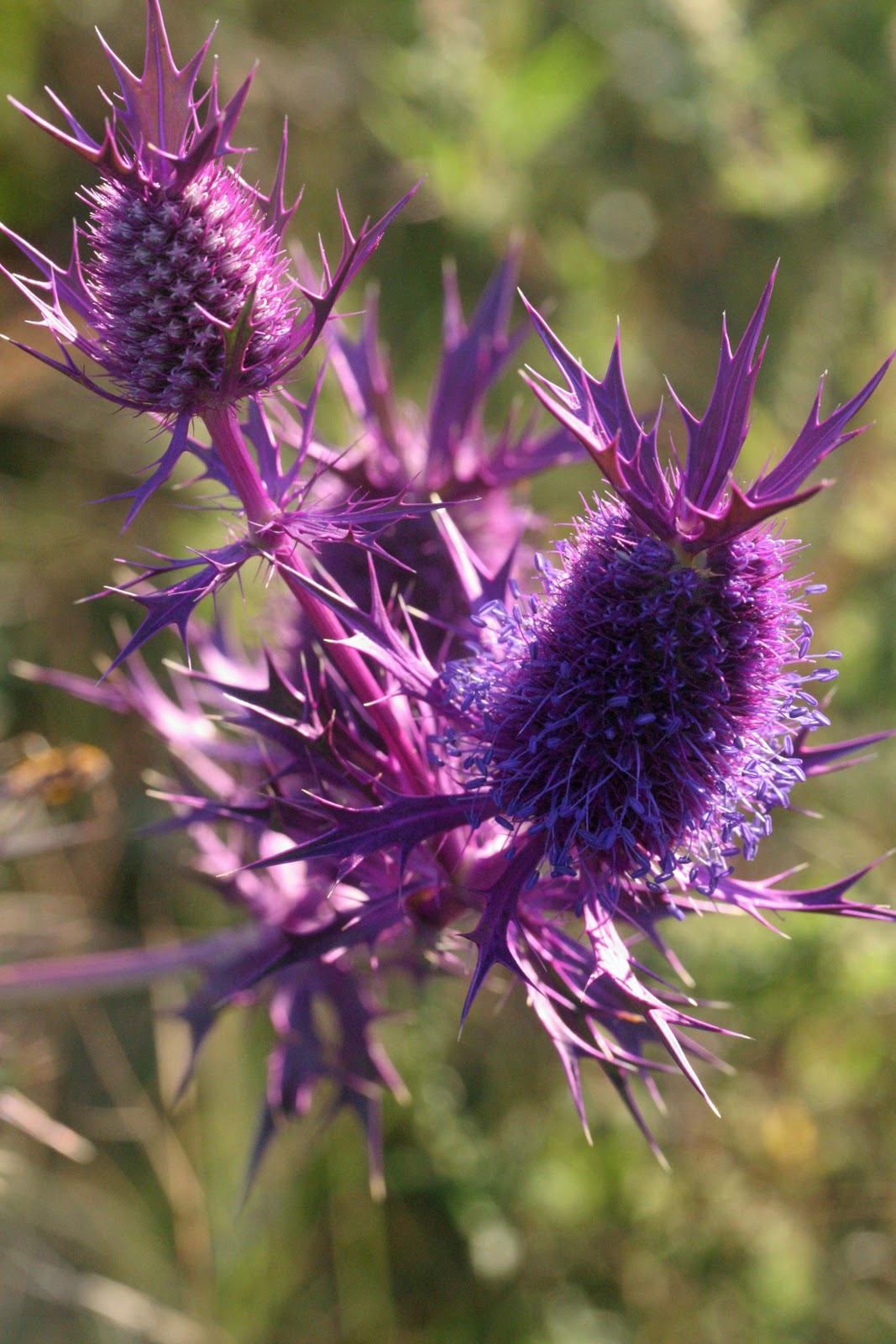 Life In Pieces Favorite Things Friday Oct 7th