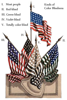 Luke French's Blog: Color Blindness Research