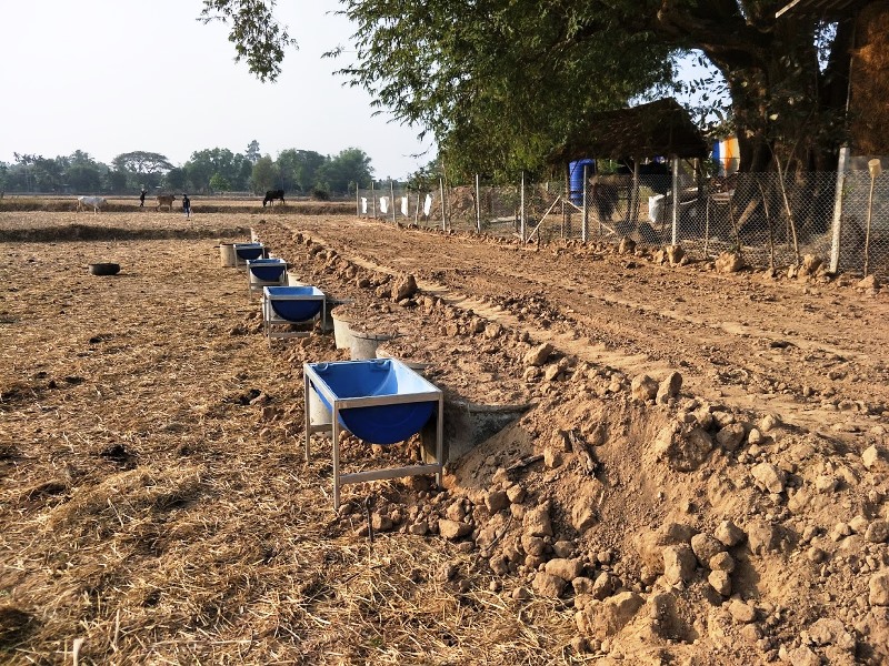 Leben Auf Dem Land Land Auffullen