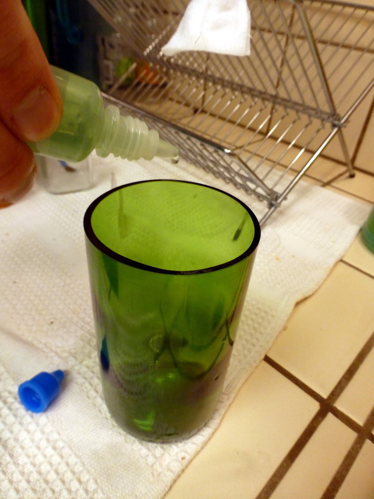 Cobra Innovations: Wine Bottle Hydroponic Planter Tutorial