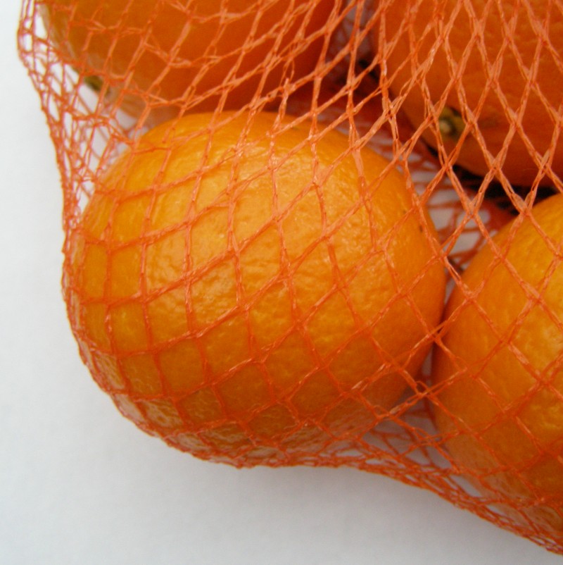 Fan My Flame Fruit Fabrics